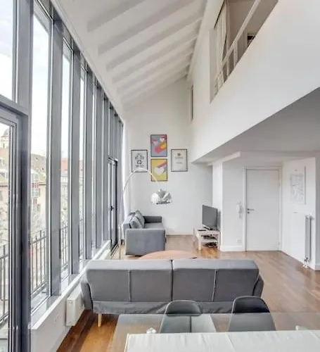 Le Loft Des Lumieres - Superbe Loft Lumineux Au Coeur De La Krutenau Appartement